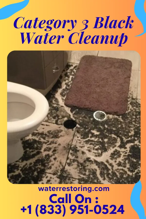 Category 3 Black Water Cleanup in Taft Southwest, TX