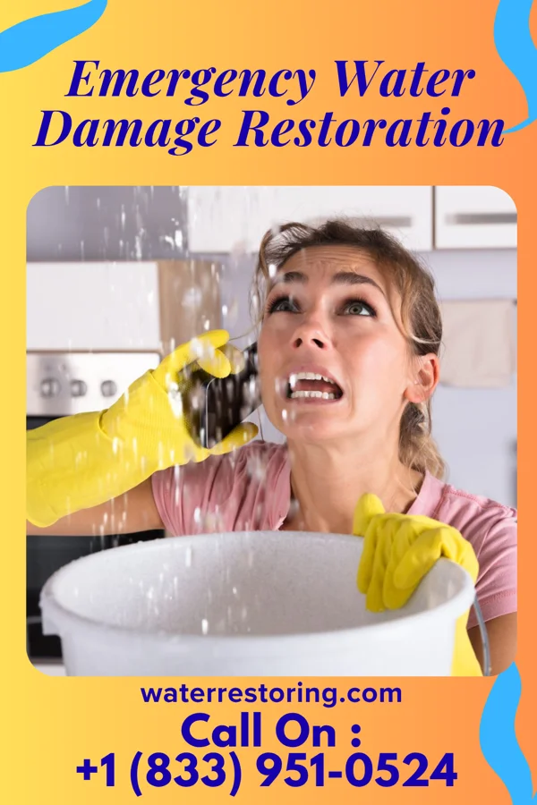 Emergency Water Damage Restoration in Taft Southwest, TX