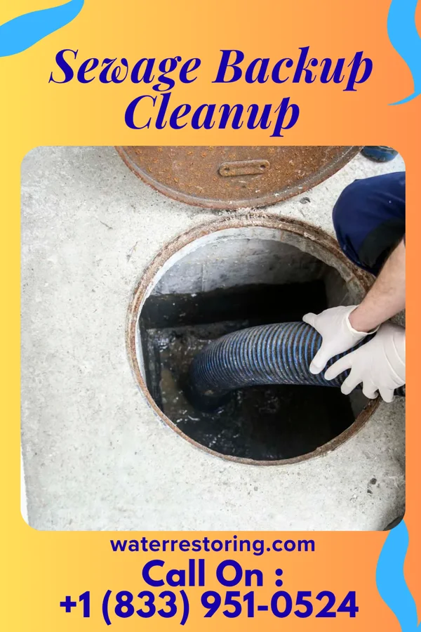 Sewage Backup Cleanup in Taft Southwest, TX